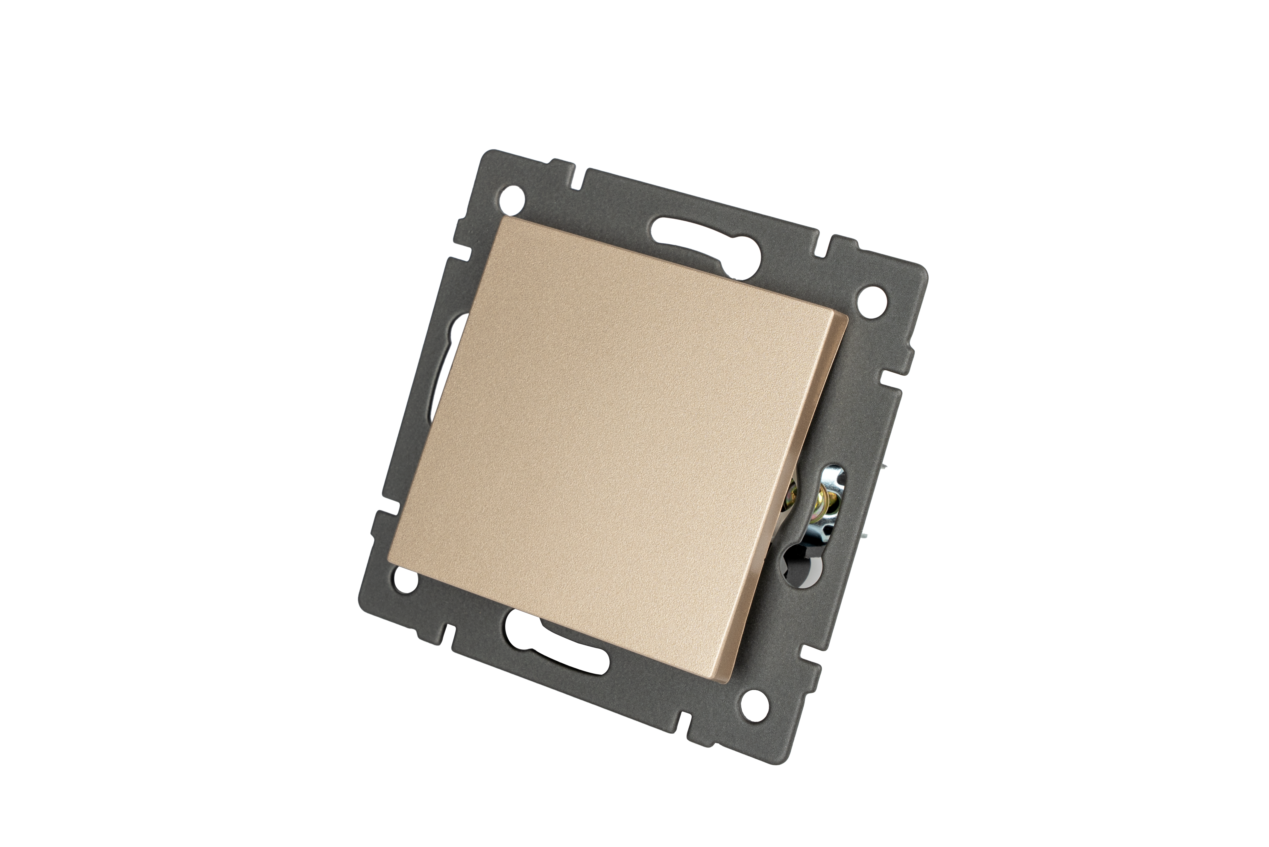Механизм выключателя одноклавишный проходной SWT-MKP1-PL-GD-V (250V, 10A) (Arlight, -)
