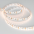 Лента RS 2-5000 24V Warm3000 2x2 8mm (3014, 240 LED/m, LUX) (Arlight, 14.4 Вт/м, IP20)