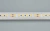 Лента RT 6-5050-96 24V Day4000 3x (480 LED) (Arlight, 23 Вт/м, IP20)