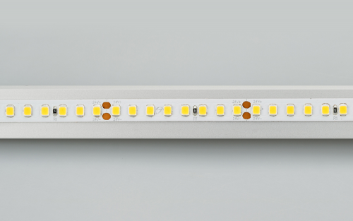 Лента RT 2-5000 24V Day5000 2x (2835, 160 LED/m, LUX) (Arlight, 12 Вт/м, IP20)