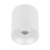 Светильник SP-ACENTO-R95-10W Day4000 (WH, 20-45 deg, 230V) (Arlight, IP20 Металл, 5 лет)