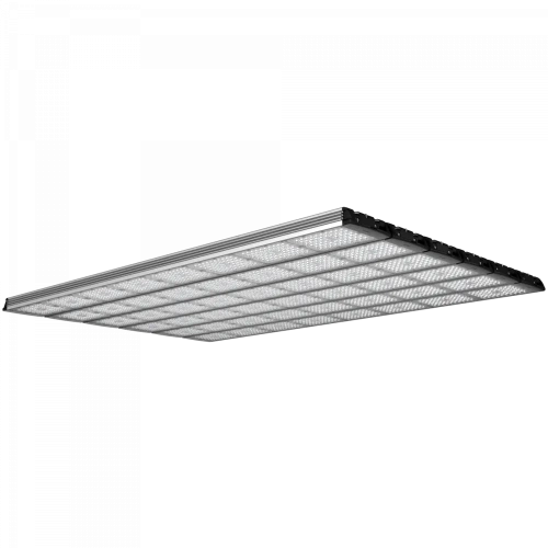 Optimus 8Мx6L 1440Вт 5000К К1 30°