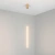 Светильник SP-UMBRA-HANG-V-L600-10W Warm3000 (GD, 120 deg, 230V) (Arlight, IP20 Металл, 3 года) Светильник SP-UMBRA-HANG-V-L600-10W Warm3000 (GD, 120 deg, 230V) (Arlight, IP20 Металл, 3 года)