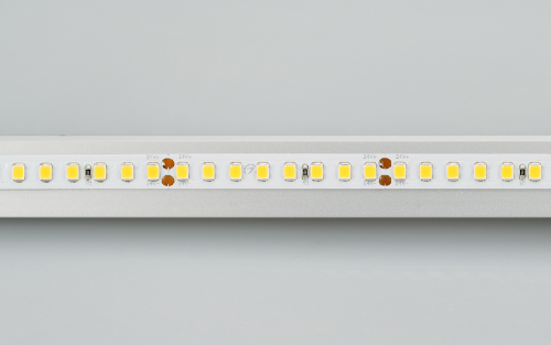 Лента RT 2-5000-50m 24V Day4000 2x (2835, 160 LED/m, LUX) (Arlight, 12 Вт/м, IP20)