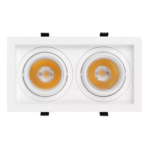 Светильник MS-VORTEX-BUILT-S250x140-2x30W Day4000 (WH-WH, 17 deg, 230V) (Arlight, IP20 Металл, 5 лет)